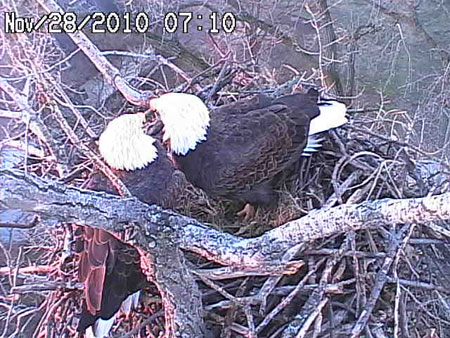 Маркетинг_Алкоа_парадоксально_но_работает