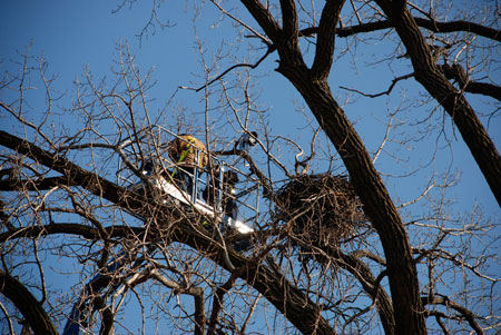 Маркетинг_Алкоа_парадоксально_но_работает